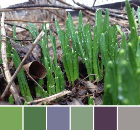 photo 2 (8)-palette