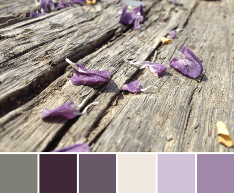 petal palette