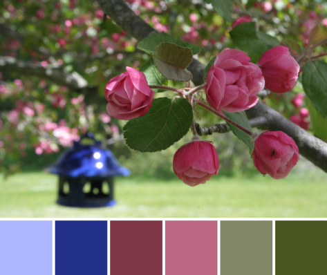 pink and blue color palette