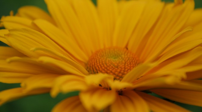 Color Inspiration Thursday {9}
