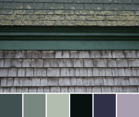 earthy palette
