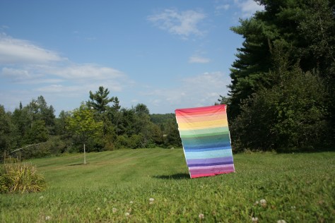 rainbow jellyroll quilt top