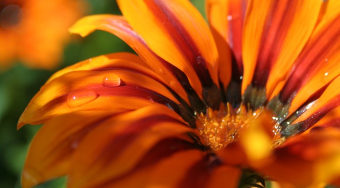 Color Inspiration Thursday {21}