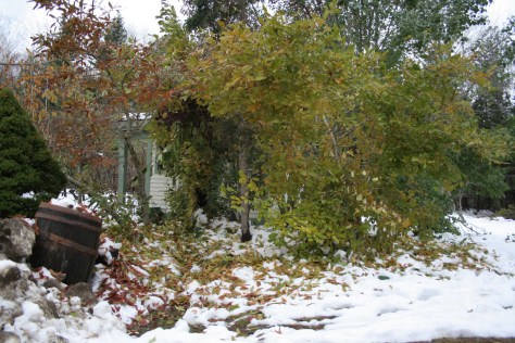 snow storm damage in maine