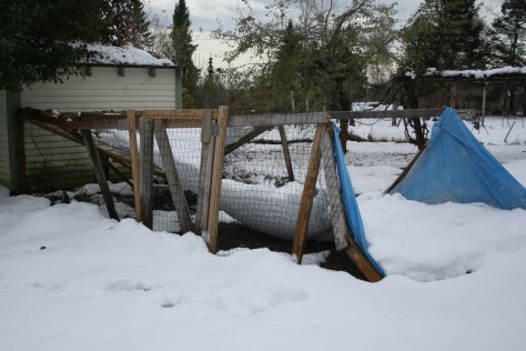 snow storm damage in maine