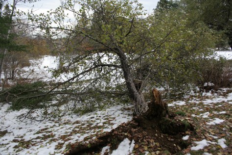 snow storm damage in maine