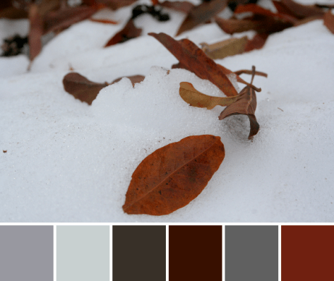 fall snowy color palette leaves red