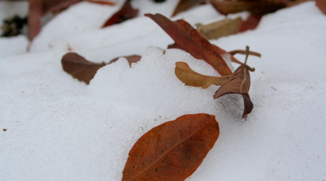 Color Inspiration Thursday {26}