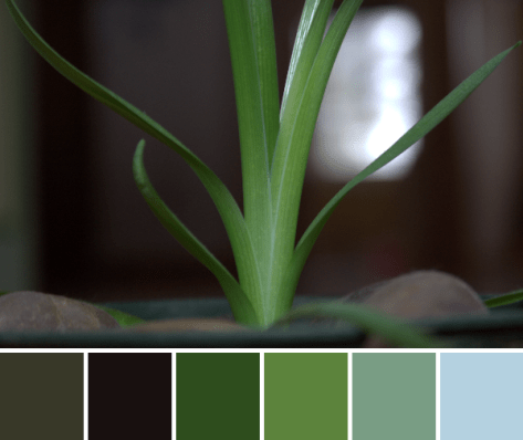 green color palette