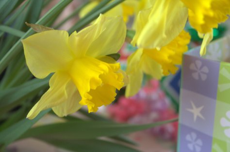 gorgeous spring baby shower gifts