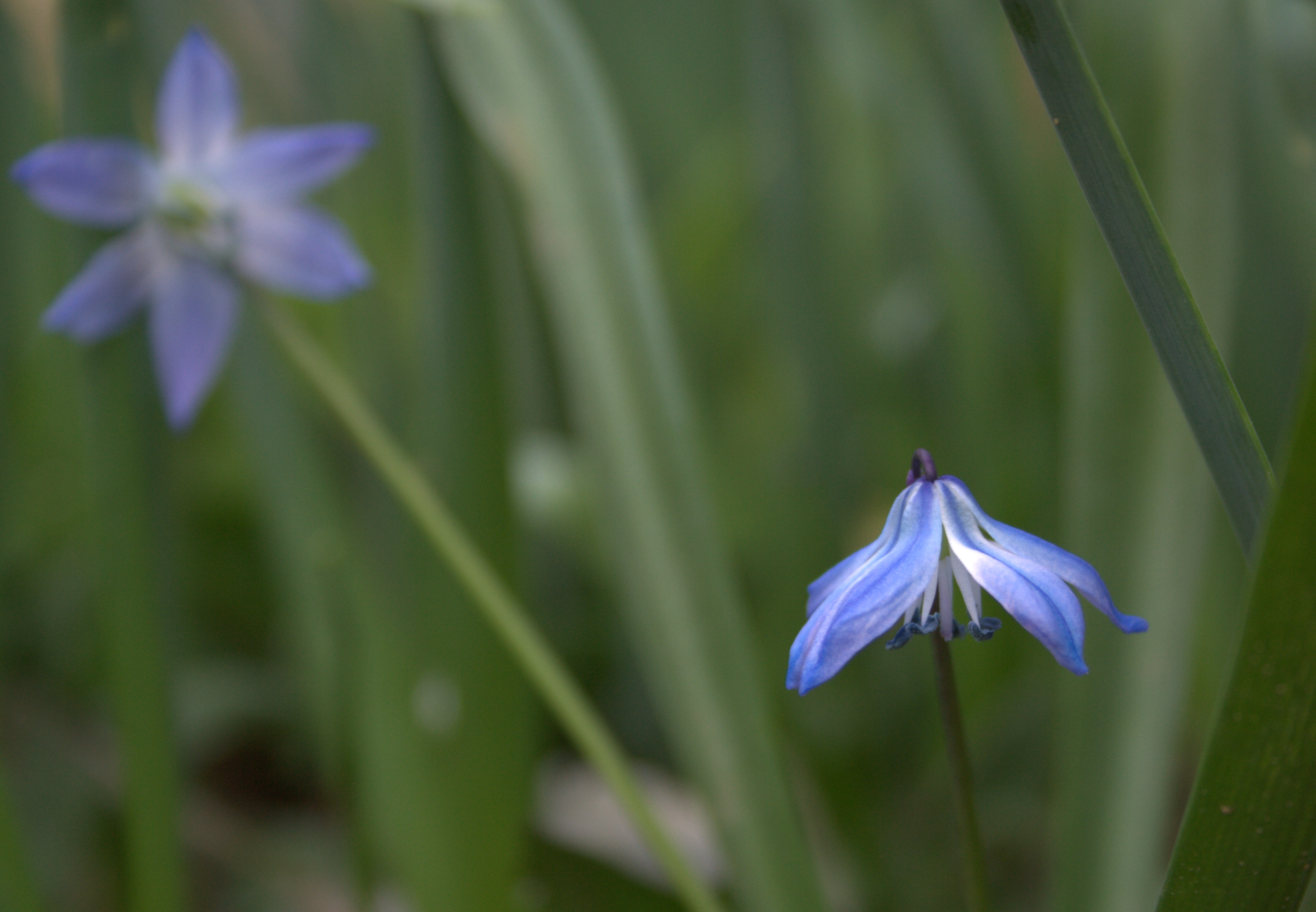 beautiful blues