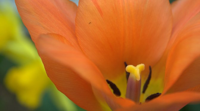 Color Inspiration Thursday {46}