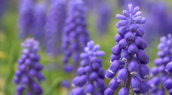 Color Inspiration Thursday {47}