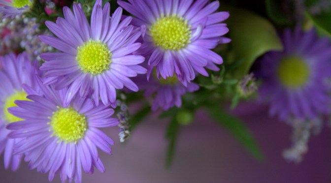 Color Inspiration Thursday {50}