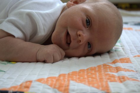Finn on his Delectable Mountain quilt