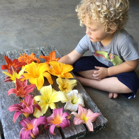 max and the lilies