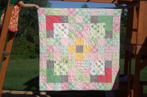 Rainy Days Picnic quilt first quilt