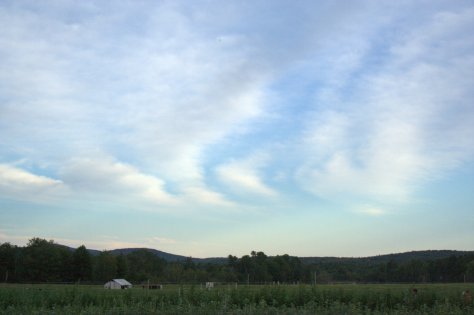 IMG_4264