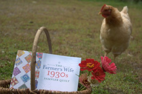 fermers wife meets my chickens