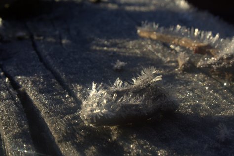 frost up close and personal