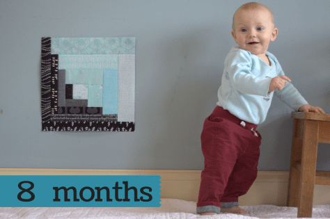 finn 8 months milestone quilt