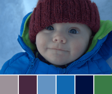 color inspiration color palette