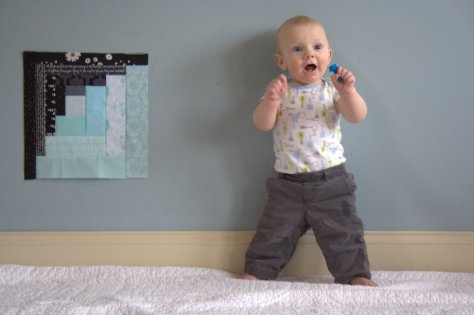 Finn 9 month milestone quilt photo shoot