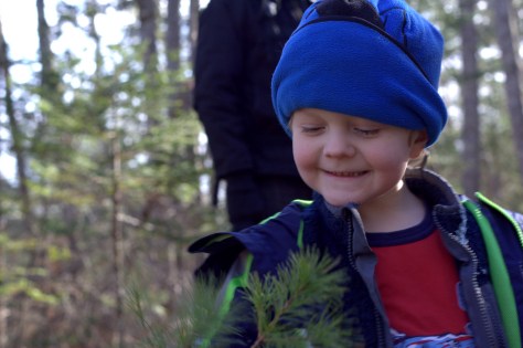 mt battie family hike