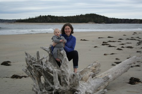 amazing driftwood