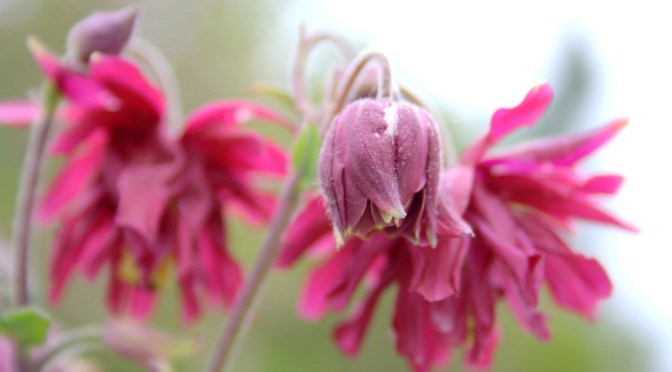 Color Inspiration Thursday {73}