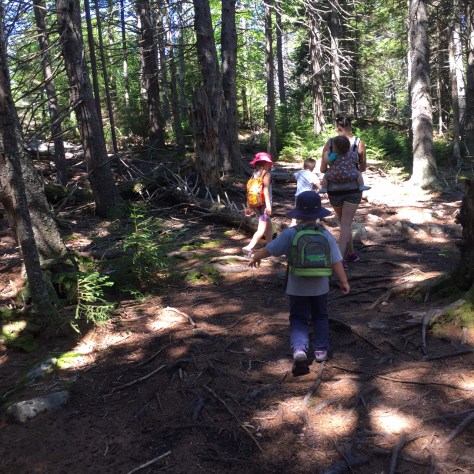 hiking Blue Hill Mountain Maine