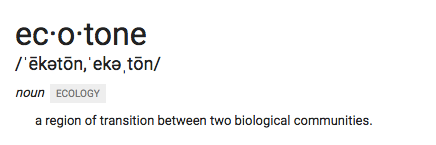 google definition of ecotone