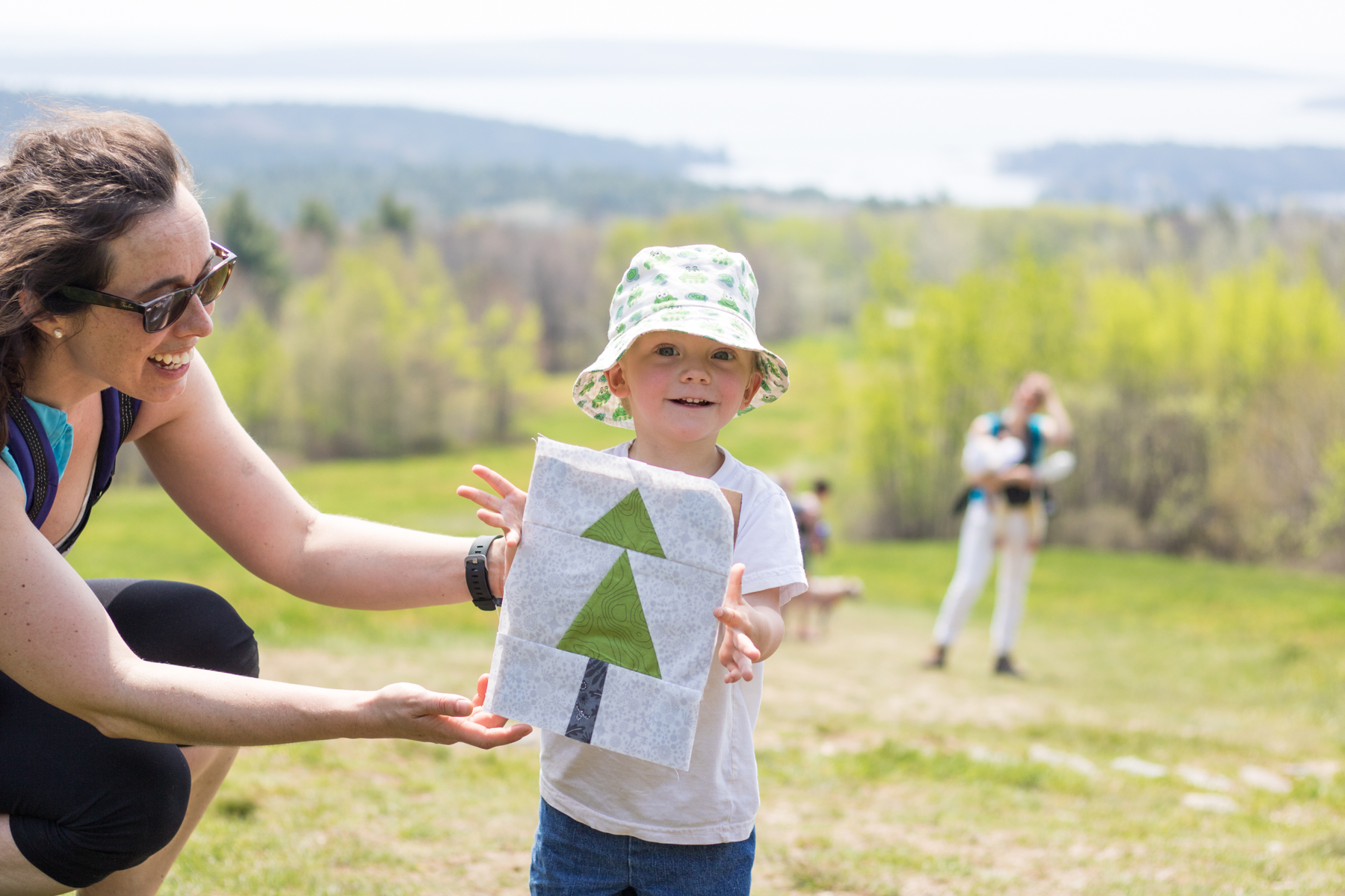 blue hill mountain summer adventure quilt