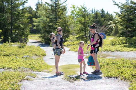 great pond mountain hike