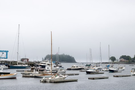 camden harbor tour camden maine