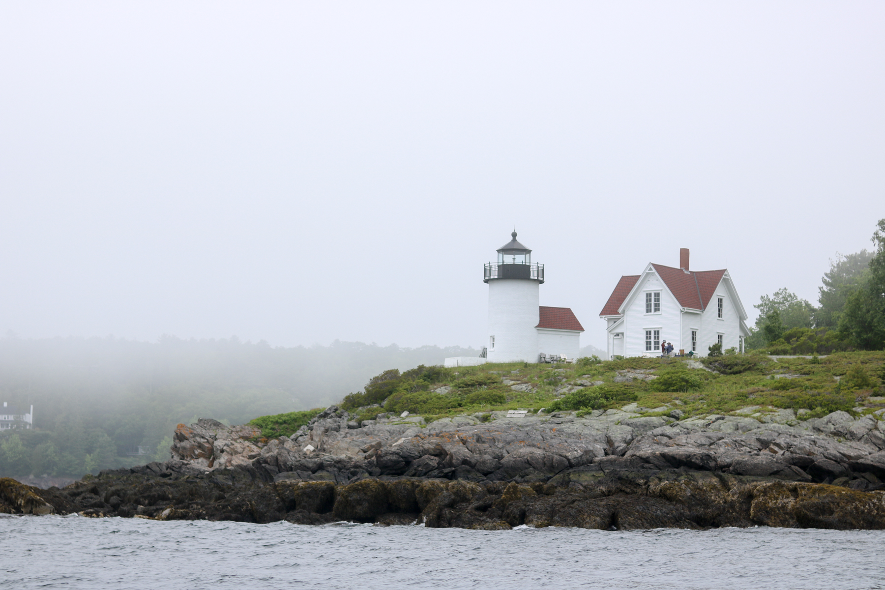 camden harbor tour camden maine