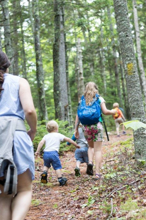 birdsacre trails ellsworth maine summer adventure quilt