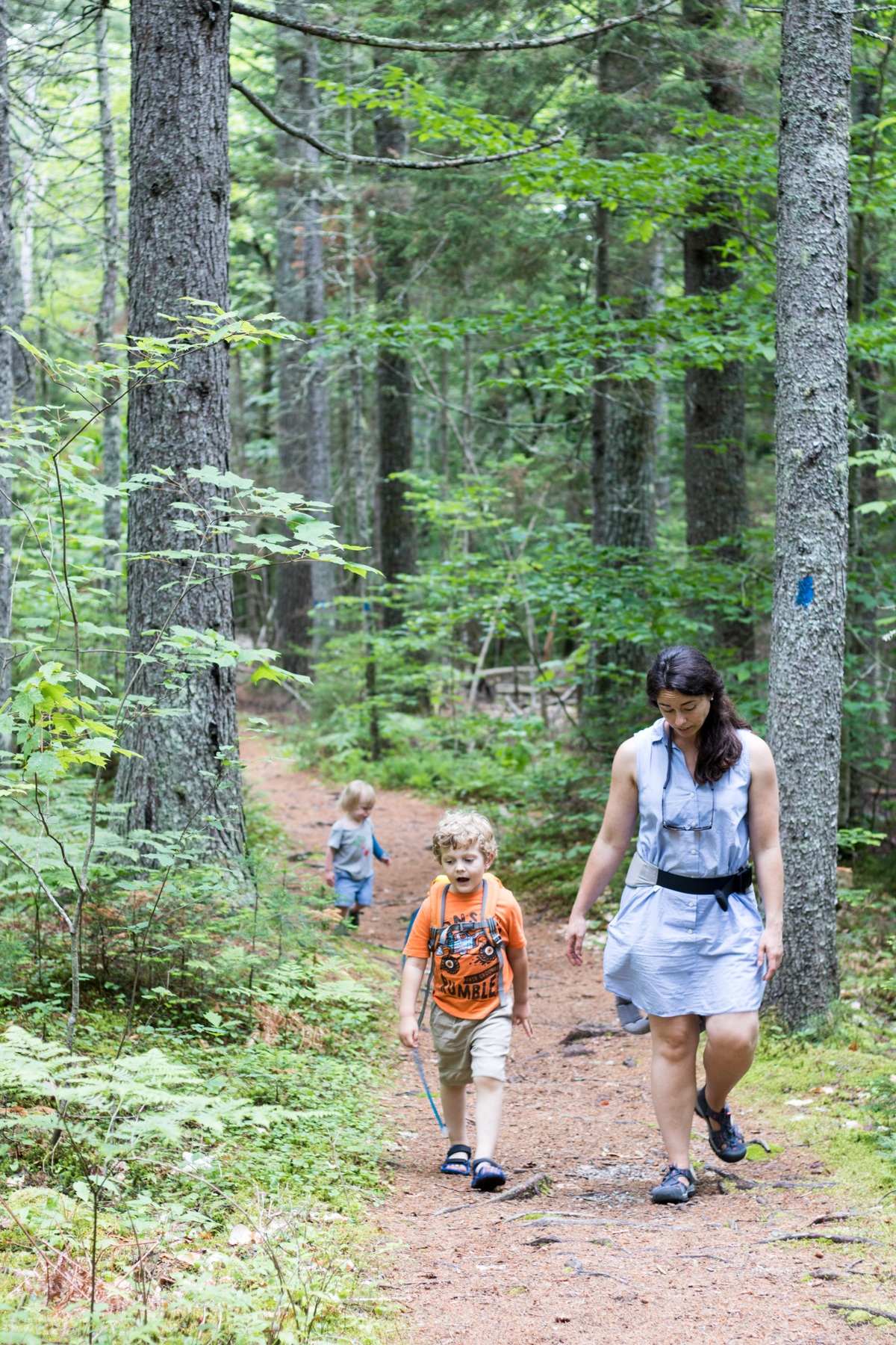 birdsacre trails ellsworth maine summer adventure quilt