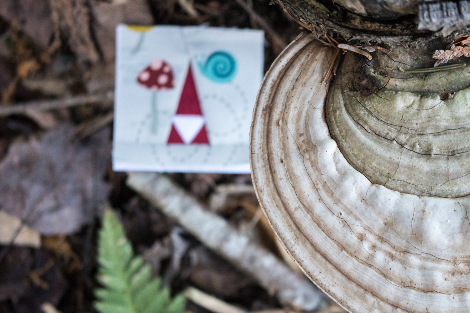 large shelf fungus tiny tomte foundation paper pieced pattern moss and lotus