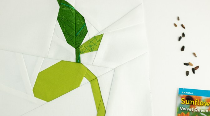 Bean Sprout ReRelease for Earth Day!